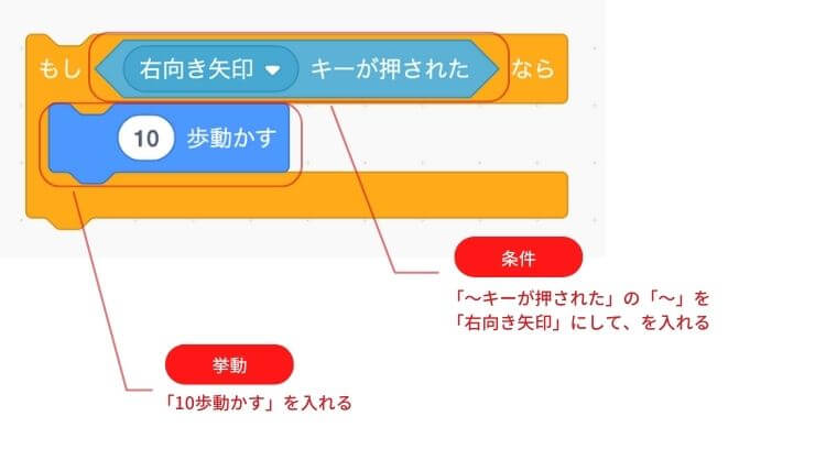 もし〜ならの〜に右向き矢印キーが押されたをいれ条件にし、もし右向き矢印キーが押されたならの中に10歩動かすのブロックを入れ挙動を決める